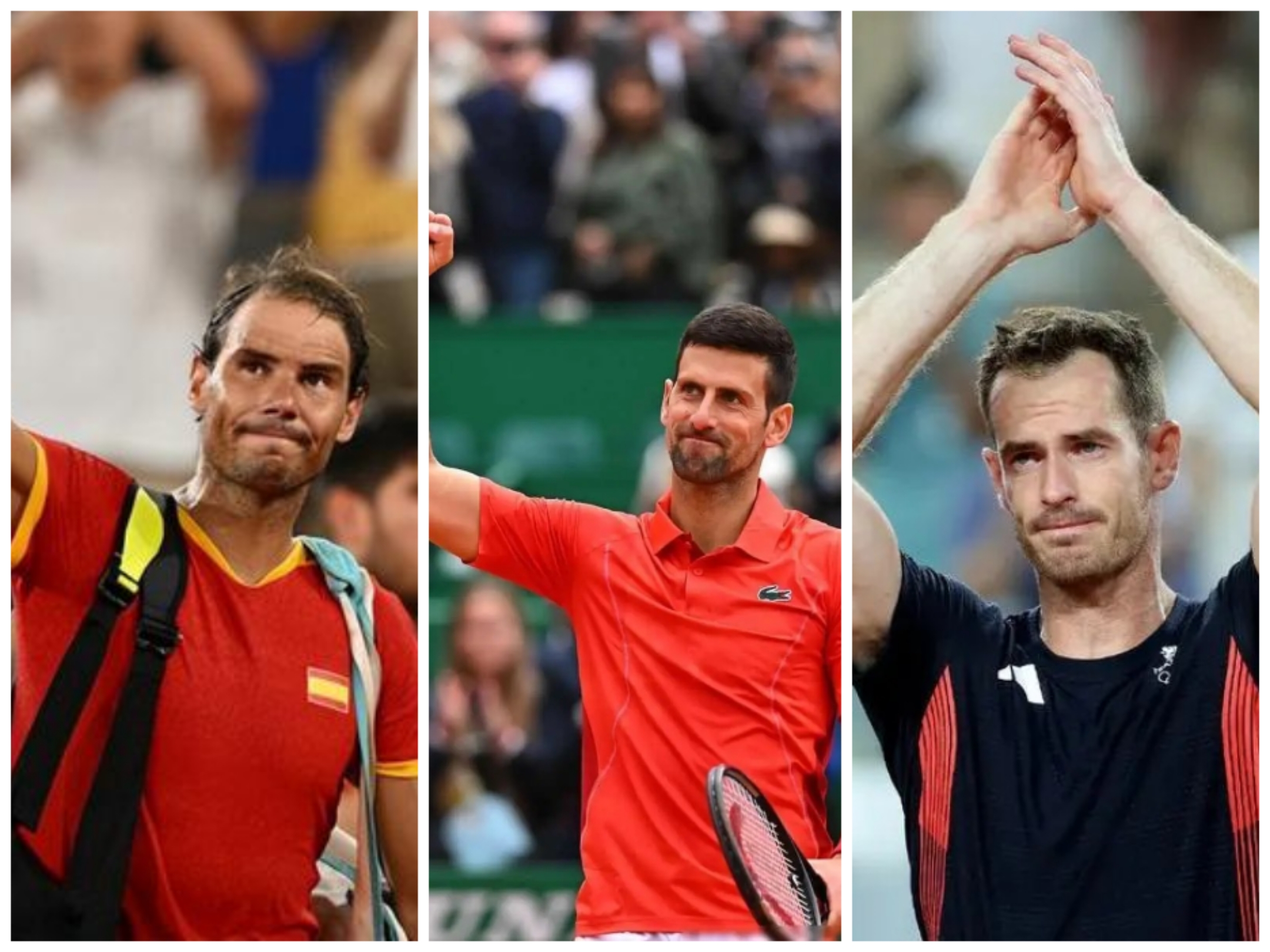 华体会登陆-关于意大利网球队完胜日本网球队，穆雷统治全场的信息